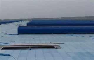 邢臺無動力風機廠家 哈爾濱無動力風機廠家